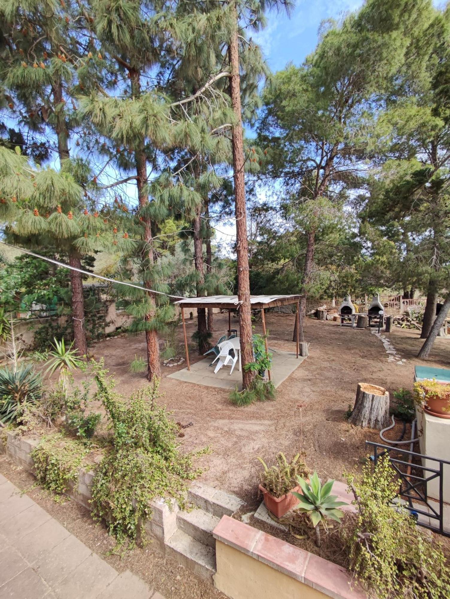 דירות פורטו פינו Casa Sonia מראה חיצוני תמונה
